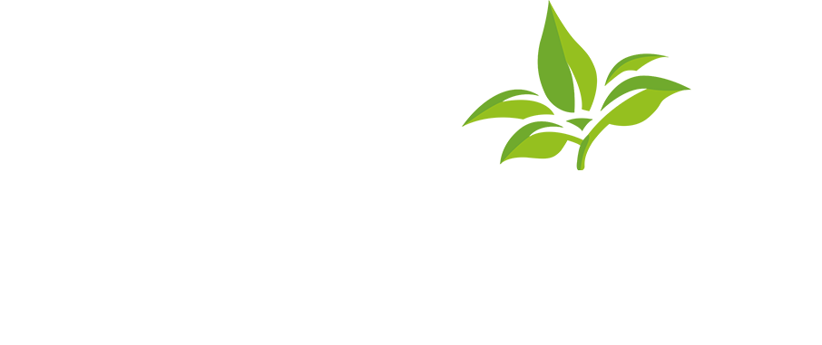 Lebererhof Apartments